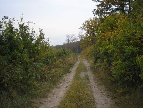 2-1-pa093021.jpg 2-1-pa093021.jpg