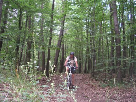 2-p6282278.jpg 2-p6282278.jpg