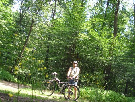 2-p7032362.jpg 2-p7032362.jpg