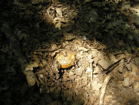 2-p7172492.jpg 2-p7172492.jpg