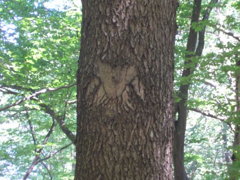 2-p8022607.jpg 2-p8022607.jpg