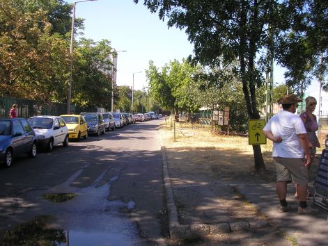 2-p8112671.jpg 2-p8112671.jpg