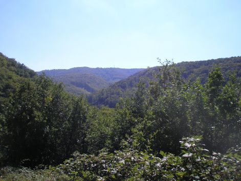 2-p9072853.jpg 2-p9072853.jpg