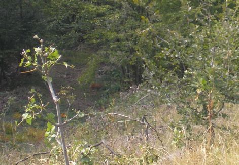 2-p9252969.jpg 2-p9252969.jpg