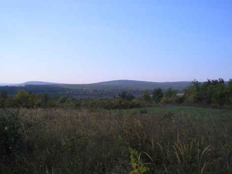 2-p9282978.jpg 2-p9282978.jpg