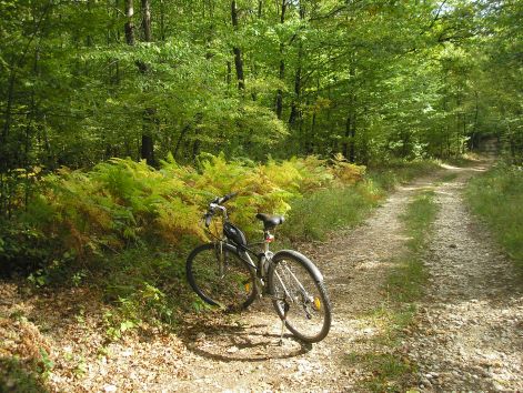 2-pa012995.jpg 2-pa012995.jpg