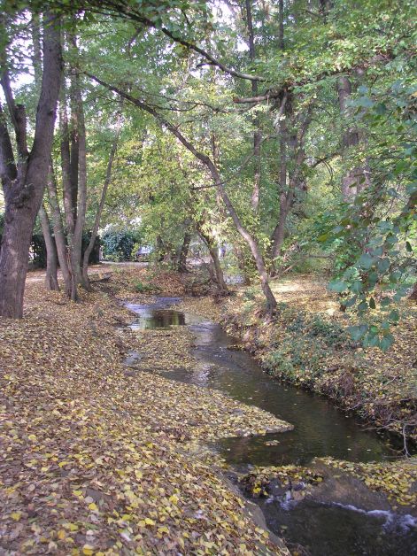 2-pa233110.jpg 2-pa233110.jpg