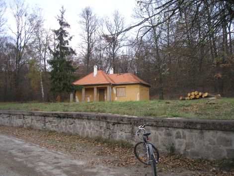 2-pa303166.jpg 2-pa303166.jpg