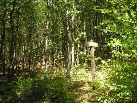 2._a_hatar.jpg 2._a_hatar.jpg