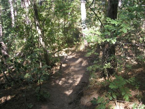 2._valtozatos.jpg 2._valtozatos.jpg