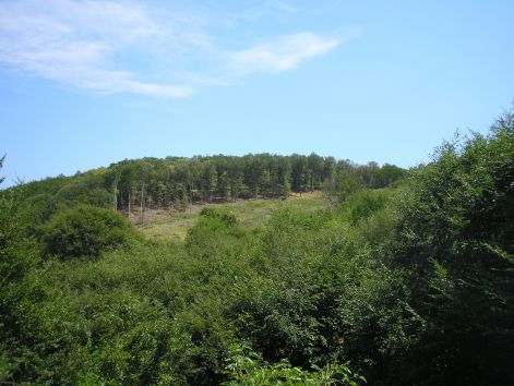 2.bekes_lanka.jpg 2.bekes_lanka.jpg