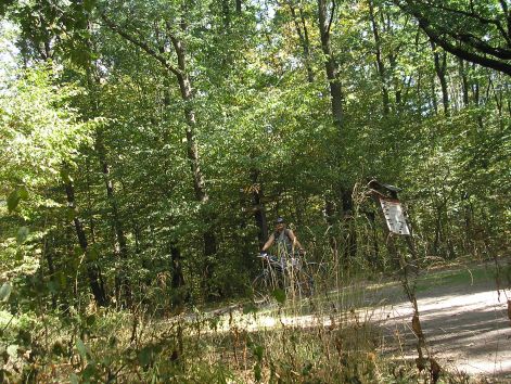 2.dobogoko_elott.jpg 2.dobogoko_elott.jpg