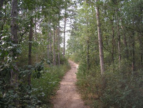 2.ez_mar_a_bors_felett.jpg 2.ez_mar_a_bors_felett.jpg