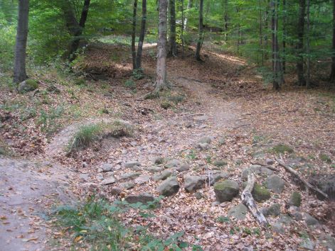 2.terepre.jpg 2.terepre.jpg