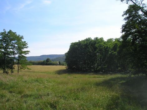 20-p7032401.jpg 20-p7032401.jpg