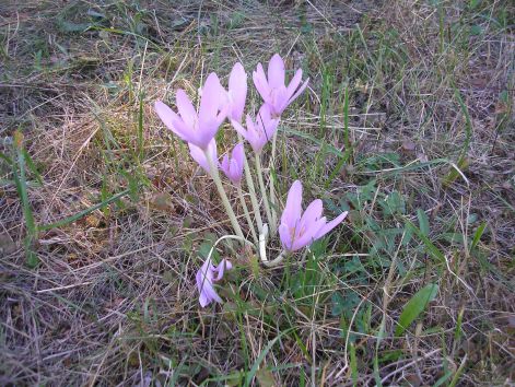 20-p9042831.jpg 20-p9042831.jpg