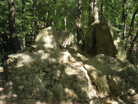 20.csaba_ko.jpg 20.csaba_ko.jpg