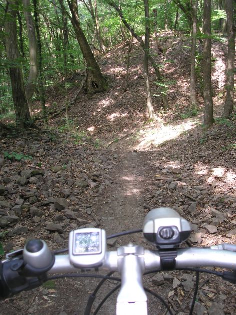 21-p7032406.jpg 21-p7032406.jpg