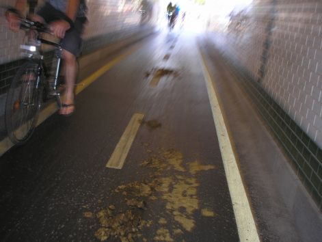 21-p8162714.jpg 21-p8162714.jpg