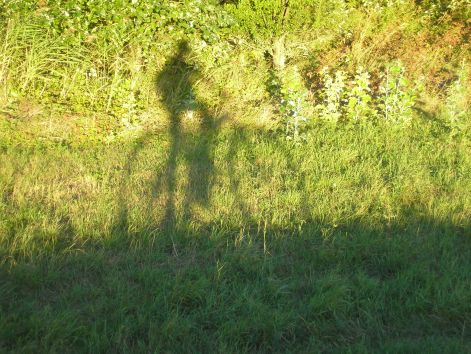 22-p9042836.jpg 22-p9042836.jpg