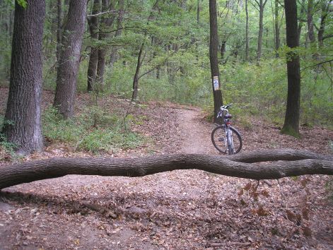 2_miert_ne_emeljek.jpg 2_miert_ne_emeljek.jpg