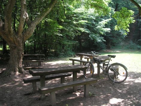 2_p6192230.jpg 2_p6192230.jpg