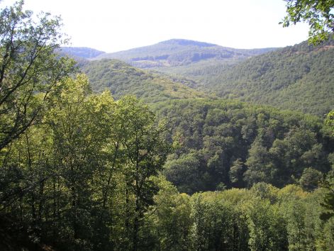 3-1-p9072854.jpg 3-1-p9072854.jpg