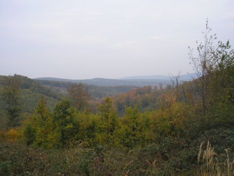 3-1-pa093022.jpg 3-1-pa093022.jpg