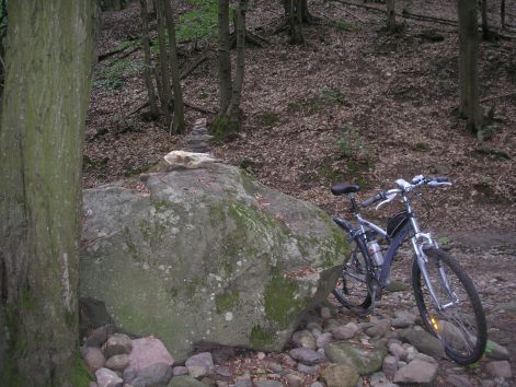 3-1p6282295.jpg 3-1p6282295.jpg