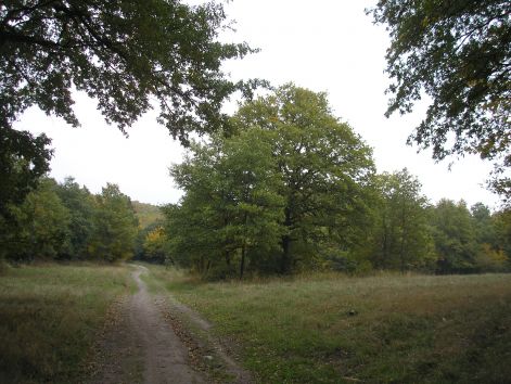 3-2-pa093026.jpg 3-2-pa093026.jpg