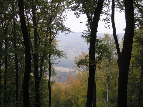 3-3-pa093034.jpg 3-3-pa093034.jpg