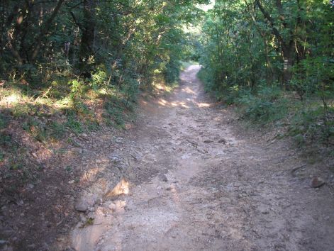 3-p6292313.jpg 3-p6292313.jpg