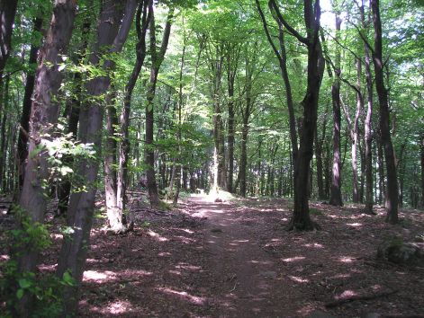 3-p7032364.jpg 3-p7032364.jpg