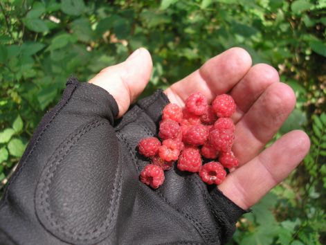 3-p7102444.jpg 3-p7102444.jpg