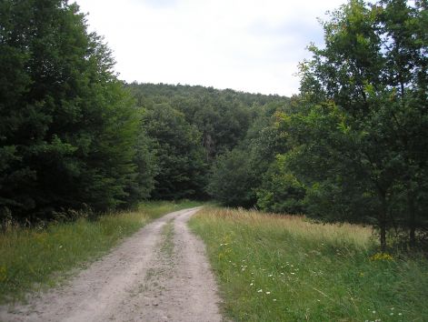 3-p7122470.jpg 3-p7122470.jpg