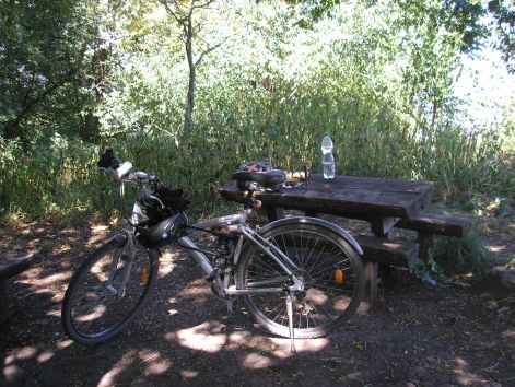 3-p8022608.jpg 3-p8022608.jpg