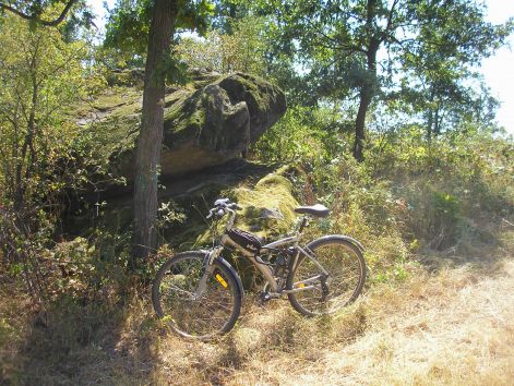 3-p8172720.jpg 3-p8172720.jpg