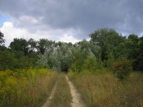 3-p8302752.jpg 3-p8302752.jpg