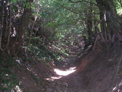 3-p9042795.jpg 3-p9042795.jpg