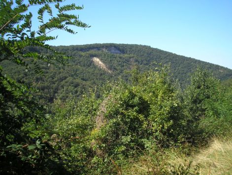 3-p9072855.jpg 3-p9072855.jpg