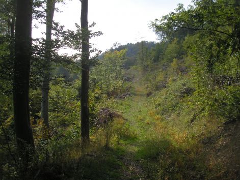 3-p9252970.jpg 3-p9252970.jpg