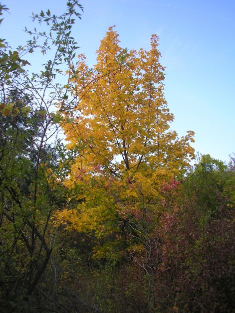 3-p9282979.jpg 3-p9282979.jpg