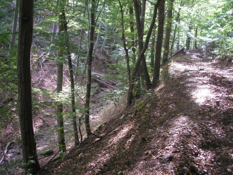 3-pa012996.jpg 3-pa012996.jpg