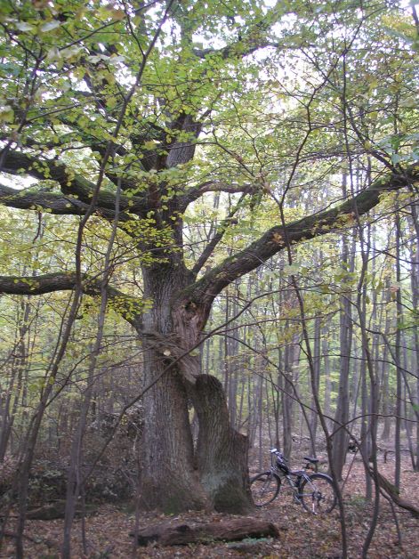 3-pa093029.jpg 3-pa093029.jpg