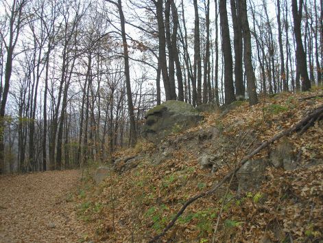 3-pa283145.jpg 3-pa283145.jpg