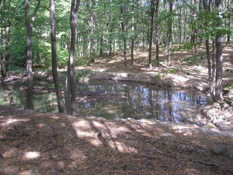 3._itato.jpg 3._itato.jpg