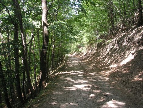 3._kenyelmes-szeles.jpg 3._kenyelmes-szeles.jpg