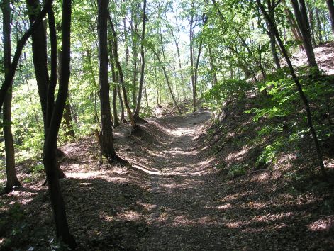 3.az_eleje_meg_konnyu.jpg 3.az_eleje_meg_konnyu.jpg