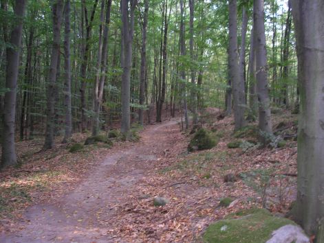 3.lankas.jpg 3.lankas.jpg