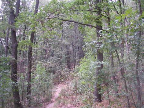 3.szuk_osveny.jpg 3.szuk_osveny.jpg